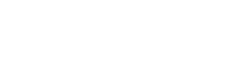 RoofRepair
